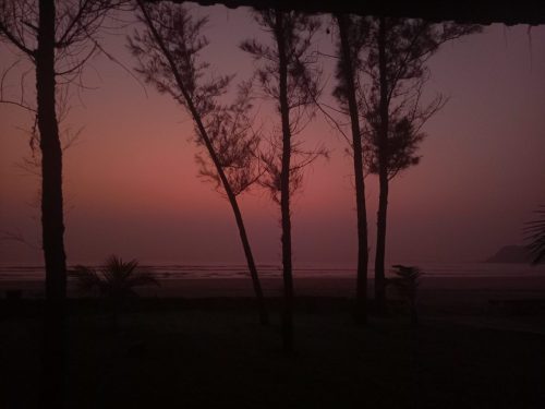 IMG_20250121_184843_390